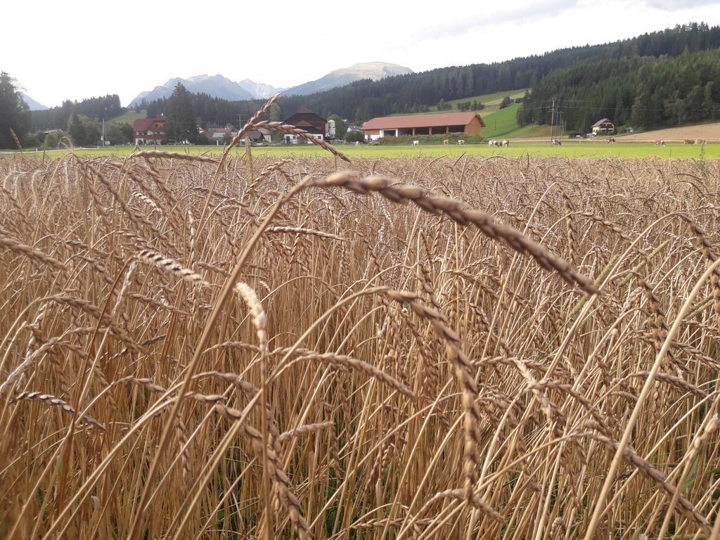 Вилла Bio Bauernhof Schoberhof Sankt Andra im Lungau Экстерьер фото